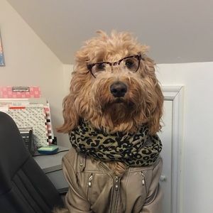 Meet your Posher, Christina